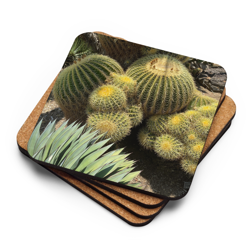 3pk Coasters Lush Desert Collection