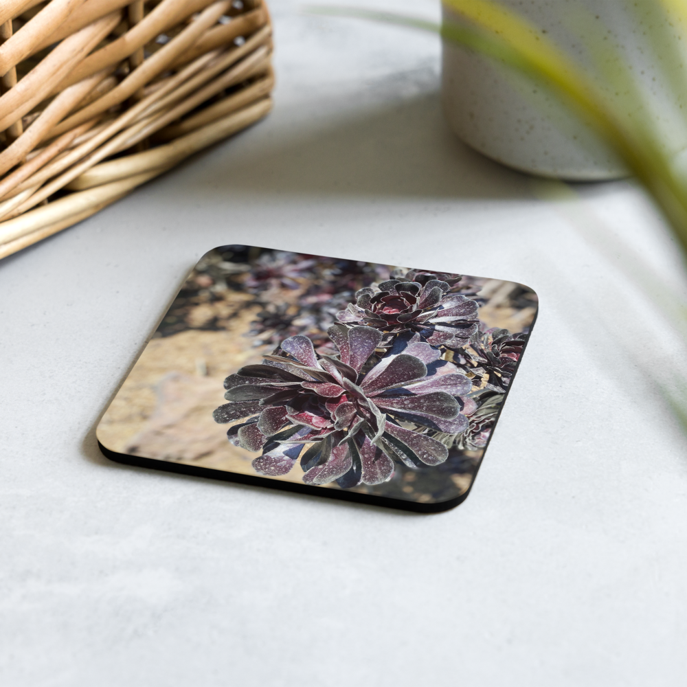 3pk Coasters Lush Desert Collection