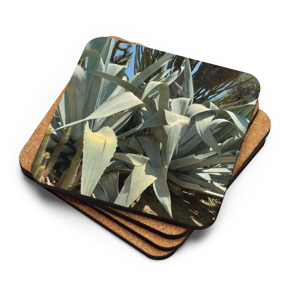 3pk Coasters Lush Desert Collection