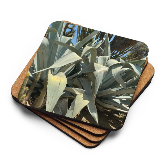 3pk Coasters Lush Desert  Collection
